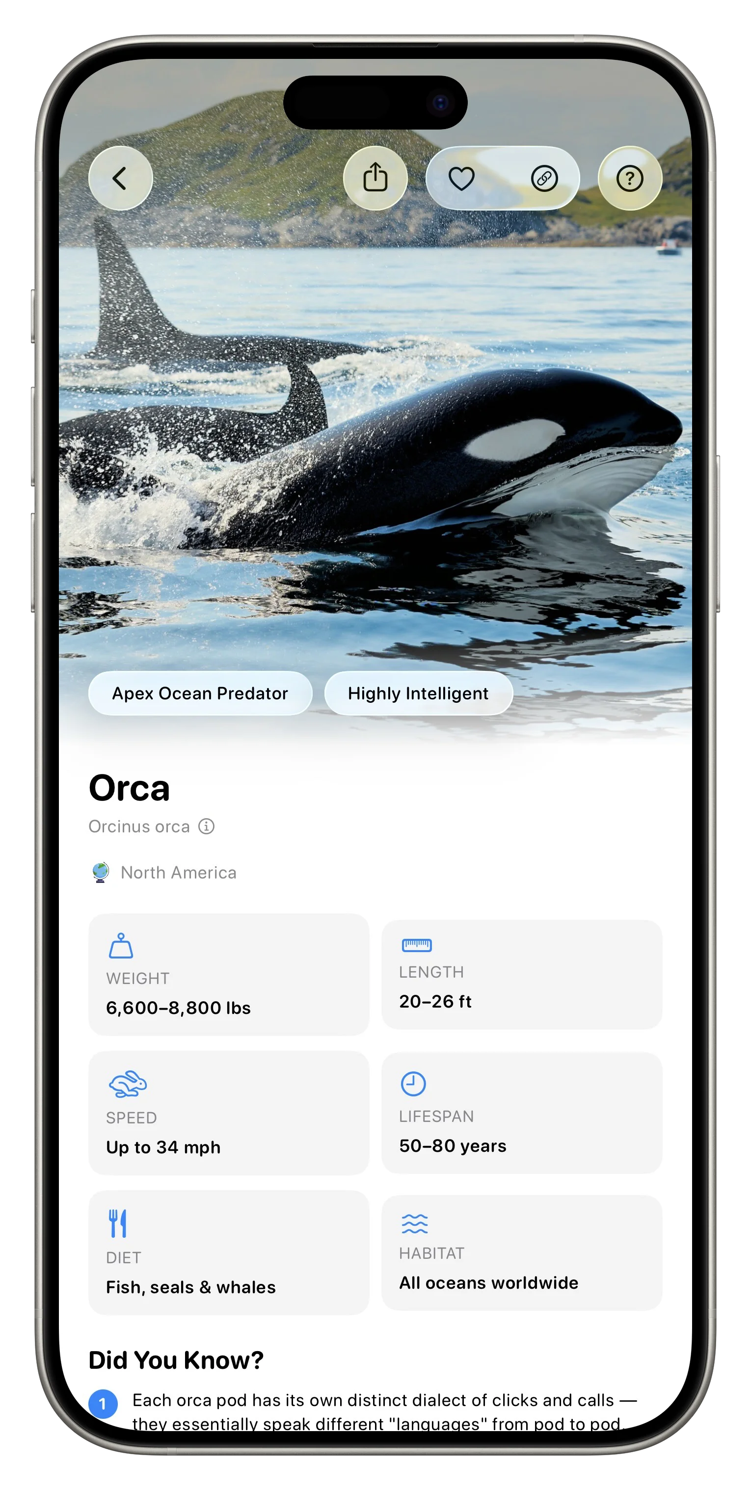Fauna App Screenshot